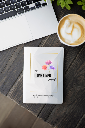 My One Liner Journal: A Five-Year- Daily Reflection